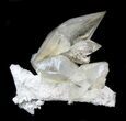 Twinned Calcite Crystals on Barite - Elmwood #33808-1